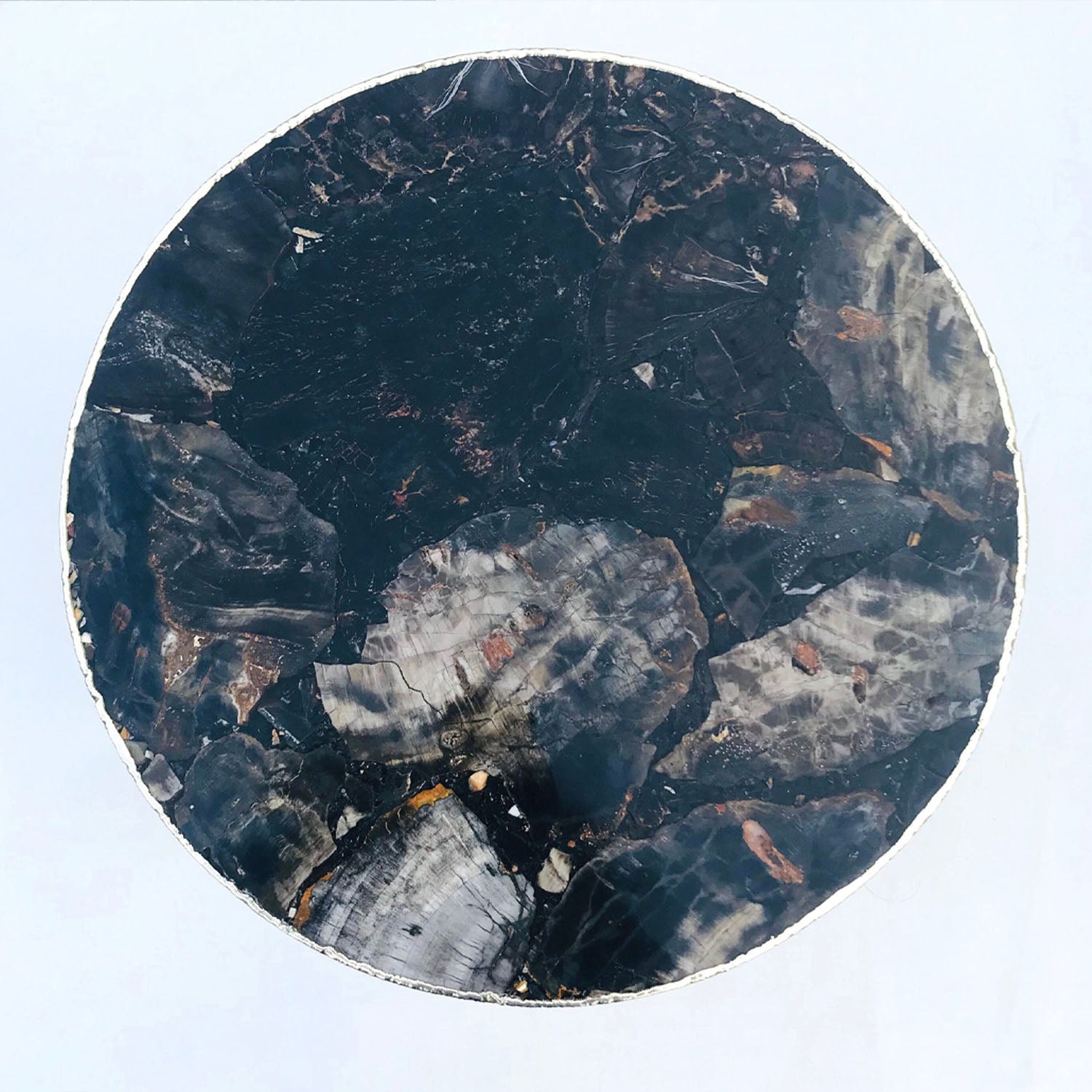Black Petrified Wood Agate Round Edge Side/Coffee Table