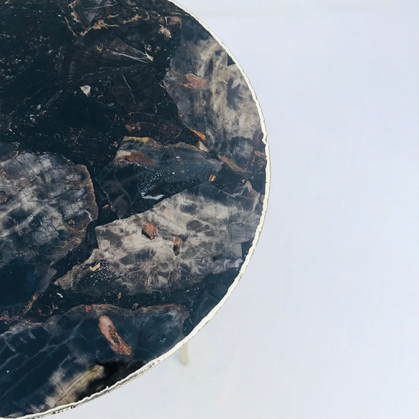 Black Petrified Wood Agate Round Edge Side/Coffee Table